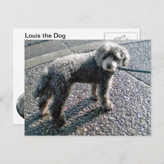 Hund namens Louis Postcard Postkarte (Vorne/Hinten)