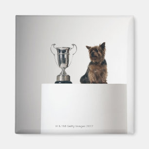 Hund neben einer großen silbernen Trophäe Magnet