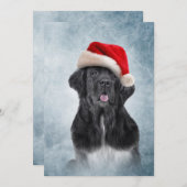 Hund Neufundland in rotem Hut des Weihnachtsmannes Einladung (Vorne/Hinten)