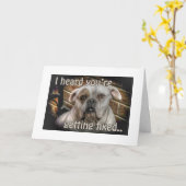 Hund Neutering wird gut Karte (Gelbe Blume)