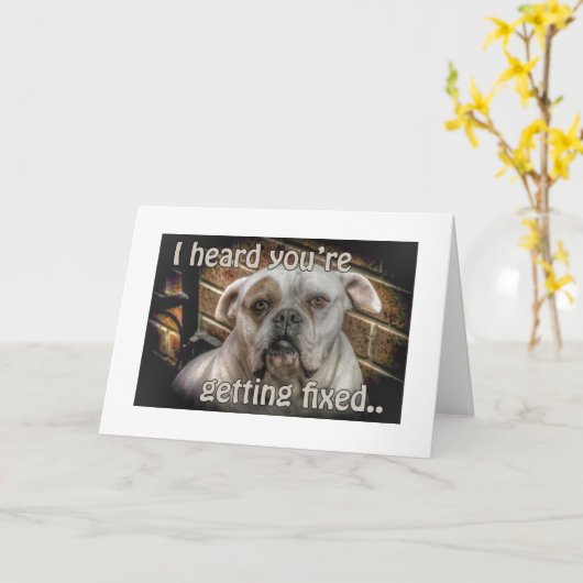 Hund Neutering wird gut Karte (Gelbe Blume)