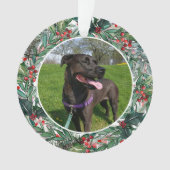 Hund oder Katze Ein Foto Haustier Ornament (Vorderseite)