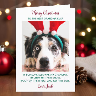 Hund Oma Funny Custom Pet Foto Frohe Weihnachten