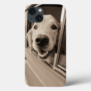 Hund pissen aus einem Autofenster iPhone 13 Hülle