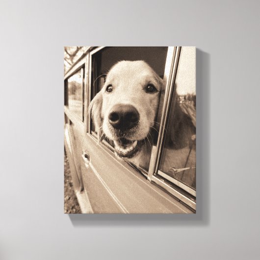 Hund pissen aus einem Autofenster Leinwanddruck (Vorderseite)