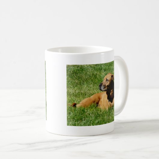 Hund, pitbull/Boxermischung Kaffeetasse (VorderseiteRechts)