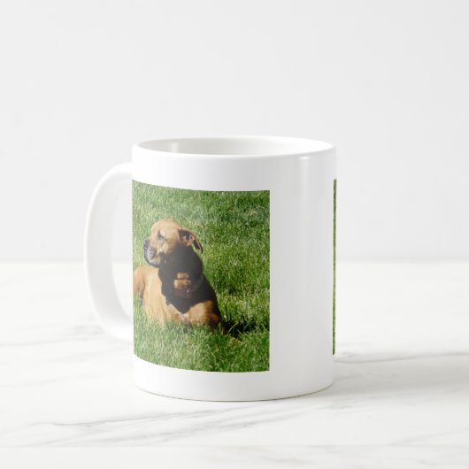 Hund, pitbull/Boxermischung Kaffeetasse (Vorderseite Links)