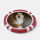 Hund Pokerchips (Einzeln)