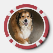 Hund Pokerchips (Rückseite)