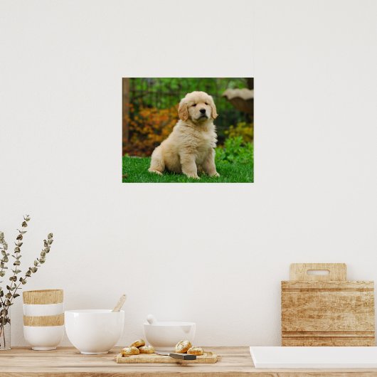 Hund Poster (Küche)