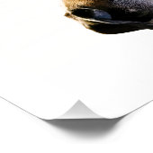 Hund Poster (Ecke)