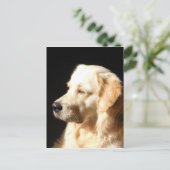 hund postkarte (Stehend Vorderseite)