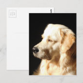 hund postkarte (Vorne/Hinten)