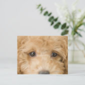 Hund Postkarte (Stehend Vorderseite)