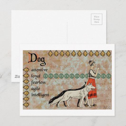 Hund Postkarte (Vorne/Hinten)