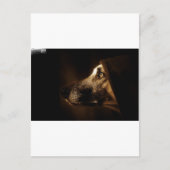 hund postkarte (Vorderseite)