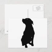 Hund Postkarte (Vorne/Hinten)