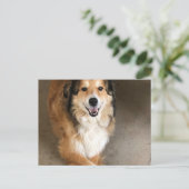 Hund Postkarte (Stehend Vorderseite)
