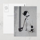 Hund Postkarte (Vorne/Hinten)