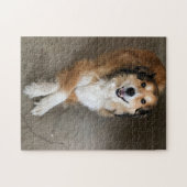 Hund Puzzle (Horizontal)