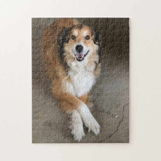 Hund Puzzle (Vertikal)