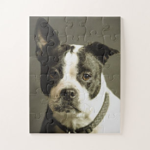 HUND PUZZLE, SCHWARZ UND WEISS PUZZLE
