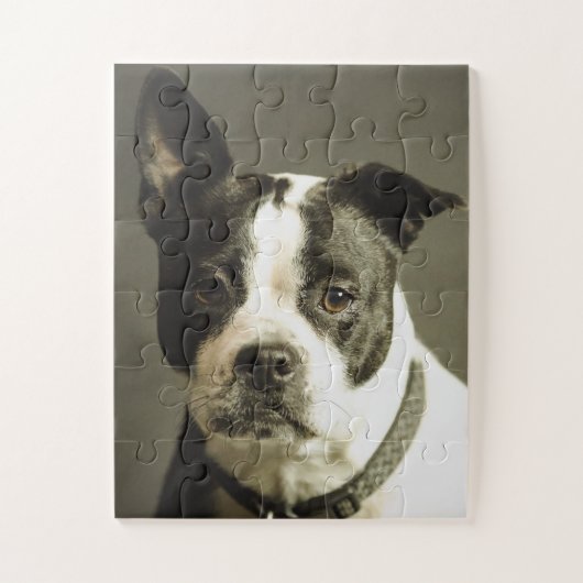 HUND PUZZLE, SCHWARZ UND WEISS PUZZLE (Vertikal)