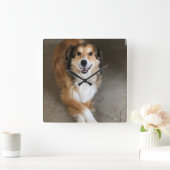 Hund Quadratische Wanduhr (Zuhause)