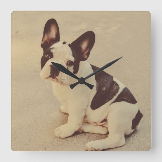 Hund Quadratische Wanduhr (Vorderseite)