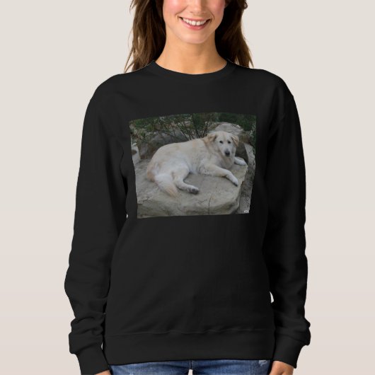 Hund ruht auf einem Felsen Sweatshirt (Vorderseite)