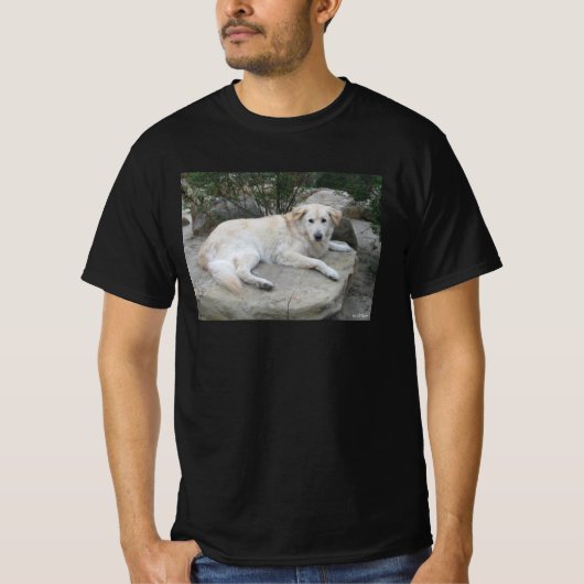 Hund ruht auf einem Felsen T-Shirt (Vorderseite)
