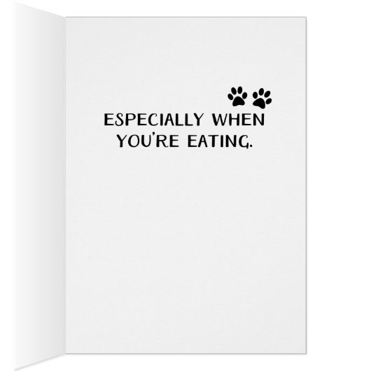 Hund schauen oben zu Ihnen lustige Karte der (Innen (Rechts))