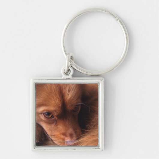 Hund Schlüsselanhänger (Vorne)