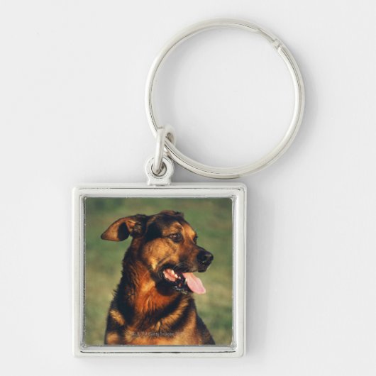 Hund Schlüsselanhänger (Vorne)