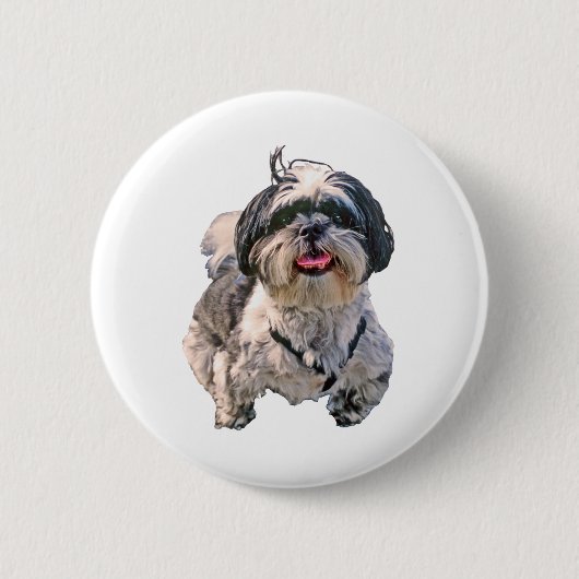 Hund Shih Tzu Button (Vorderseite)