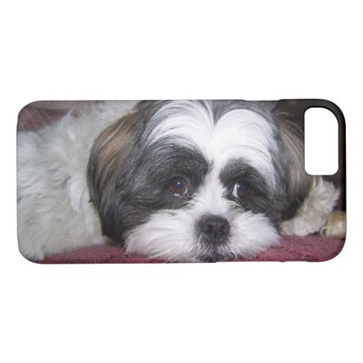 Hund Shih Tzu Case-Mate iPhone Hülle (Rückseite (Horizontal))