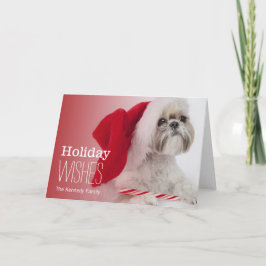 Hund Shih Tzu, der einen Weihnachtsmann-Hut trägt Feiertagskarte