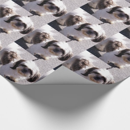 Hund Shih Tzu Geschenkpapier (Ecke)