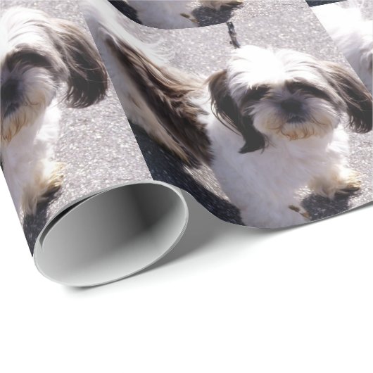 Hund Shih Tzu Geschenkpapier (Rolleneckpunkt)