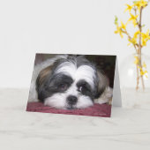 Hund Shih Tzu Karte (Gelbe Blume)
