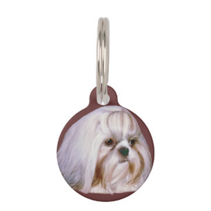 Hund Shih Tzu kundengerecht Tiermarke