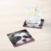 Hund Shih Tzu Rechteckiger Pappuntersetzer (Vor Ort)