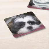 Hund Shih Tzu Rechteckiger Pappuntersetzer (angewinkelt)