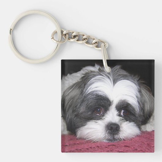 Hund Shih Tzu Schlüsselanhänger (Vorderseite)