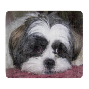 Hund Shih Tzu Schneidebrett