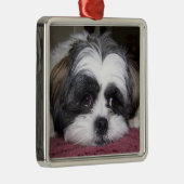 Hund Shih Tzu Silbernes Ornament (Rechts)