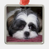 Hund Shih Tzu Silbernes Ornament (Vorne)