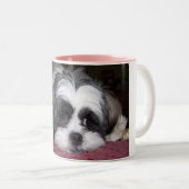 Hund Shih Tzu Zweifarbige Tasse (VorderseiteRechts)