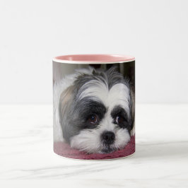 Hund Shih Tzu Zweifarbige Tasse