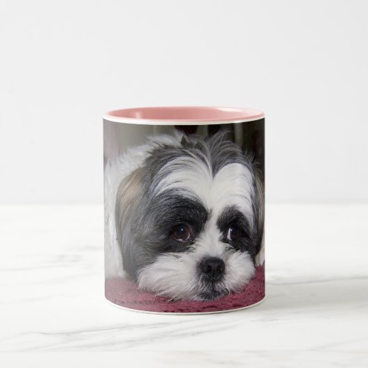 Hund Shih Tzu Zweifarbige Tasse (Mittel)